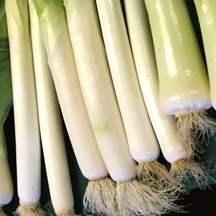 Leek Tornado